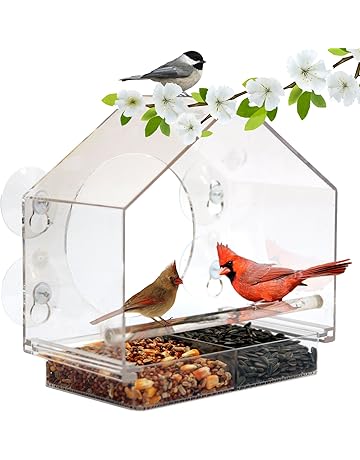 With Hook Chain Garden Easy Feeding Apple Shaped Wooden Bird
