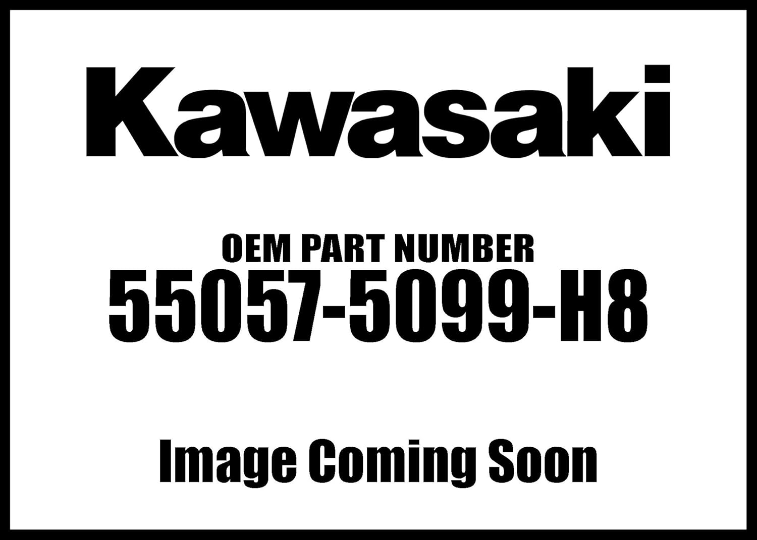 Best Kawasaki Ninja 300 Ebony