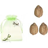 Praying Mantis Ootheca Egg Case Habitat Kit with(Three Egg Cases) &ndash; Equipped with Outdoor Hatching Bag to Observe The Hatching Process, Each Ootheca can Produce up to 400 Baby mantises