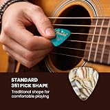 Fender Premium 24 Pack Picks Sampler Austin Bazaar Exclusive view 5
