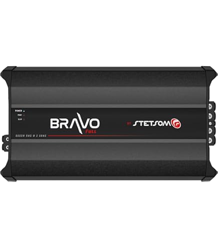 Amazon.com: Stetsom EX 10500 EQ 1 Ohm Mono Car Audio Amplifier