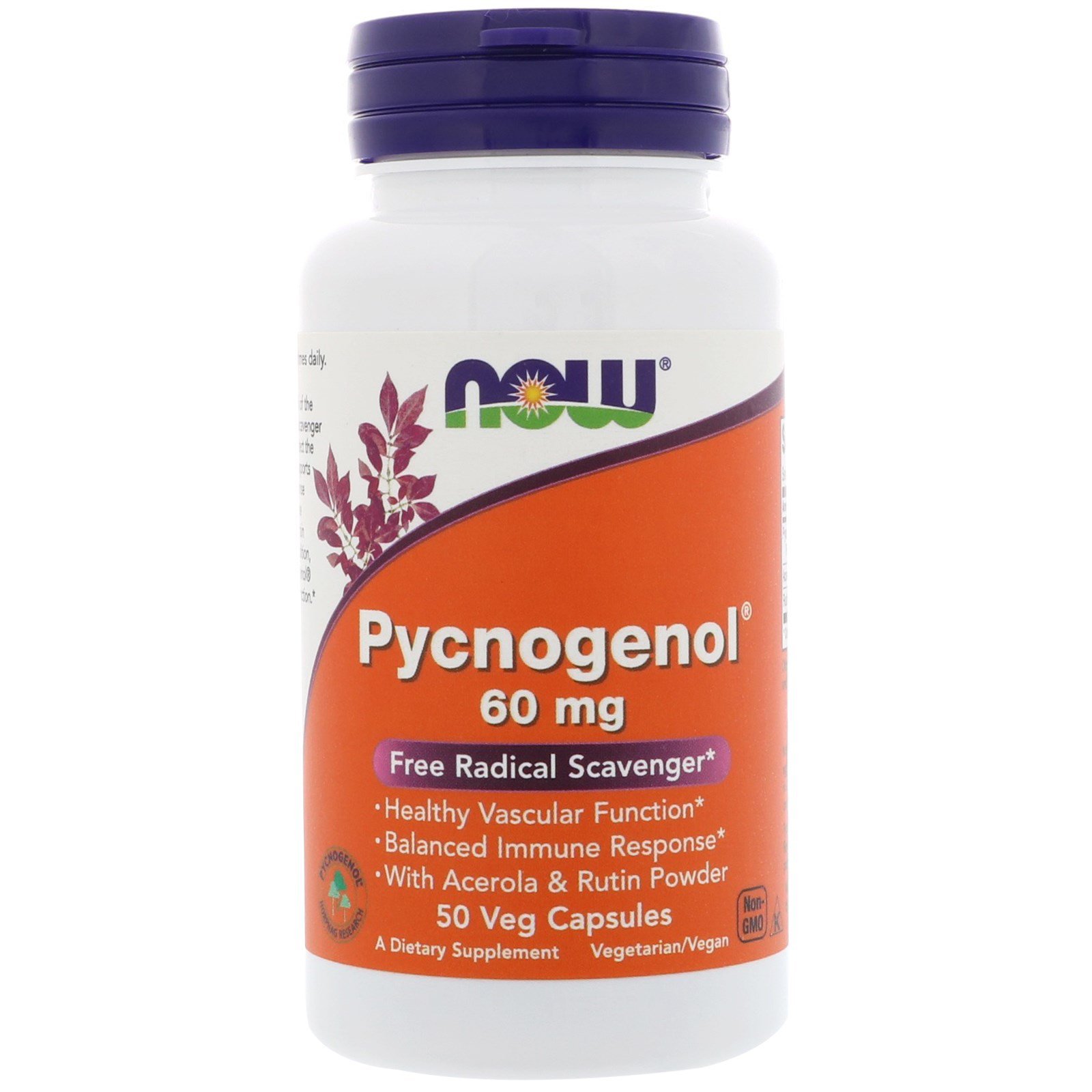 Pycnogenol, 60 mg, 50 Vcaps by Now Foods (Pack of 4) Buy Online in