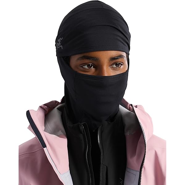 Amazon.com: Arc'teryx Rho Neck Gaiter Long | Versatile Warm