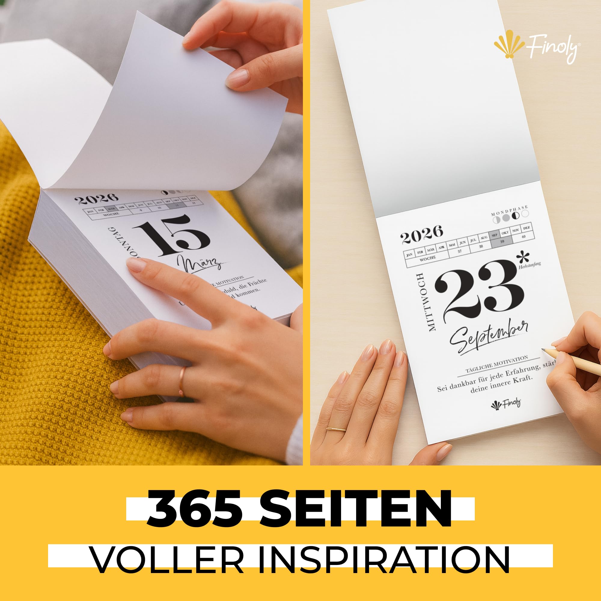 Finoly Tageskalender 2026 Abreißkalender Jan 2026 Dez 2026 (12 Mon) | Abreisskalender 2026 Täglich Lustig für Ruhe & Motivation | Abreißkalender 2026 Sprüche Inspiration, Übungen 13,5x9,5 cm 4