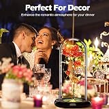Touloube Galaxy Rose for Her Light Up Rose in Glass Dome Gift view 2