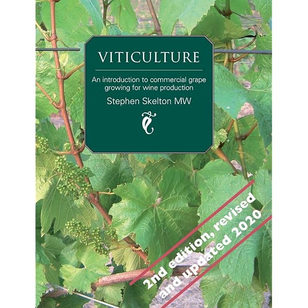 Amazon.com: Wine Myths & Reality: 9780983729266: Lewin, Benjamin