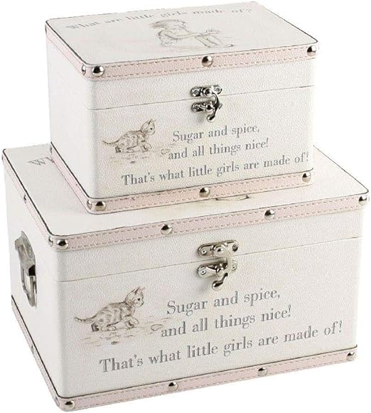 Luggage series Set of 2 Baby Storage Boxes "Little Girls" Amazon