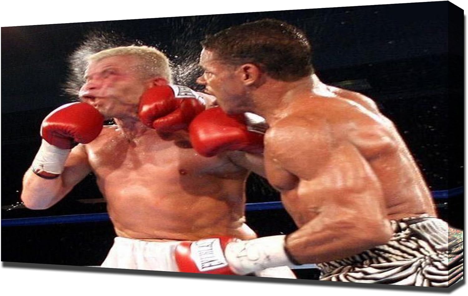 Knockout Punches 3 Canvas Art Print Posters & Prints