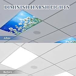 Patelai 4 x 2 Feet Fluorescent Light Cover for