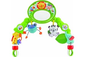 Fisher-Price Deluxe Stroller Activity Center