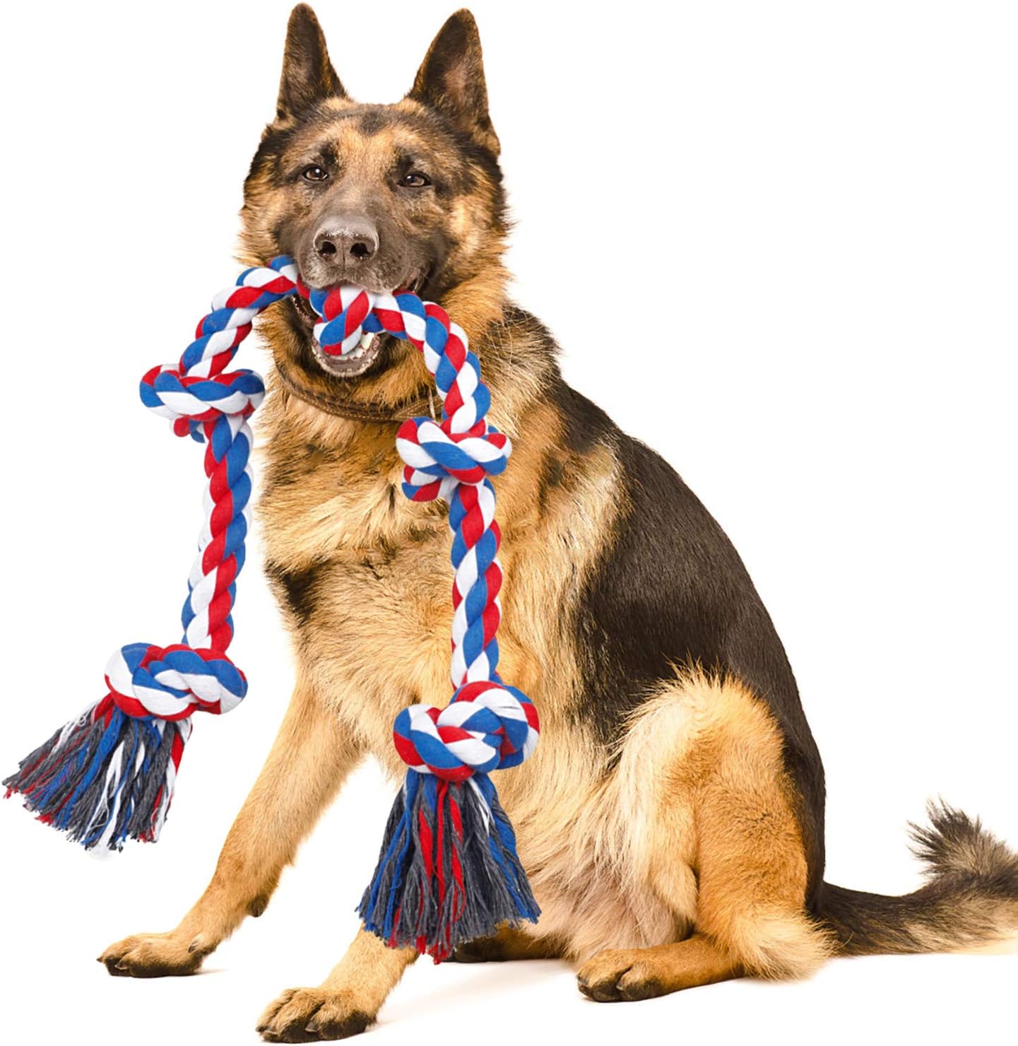 dog rope toys for aggressive chewers