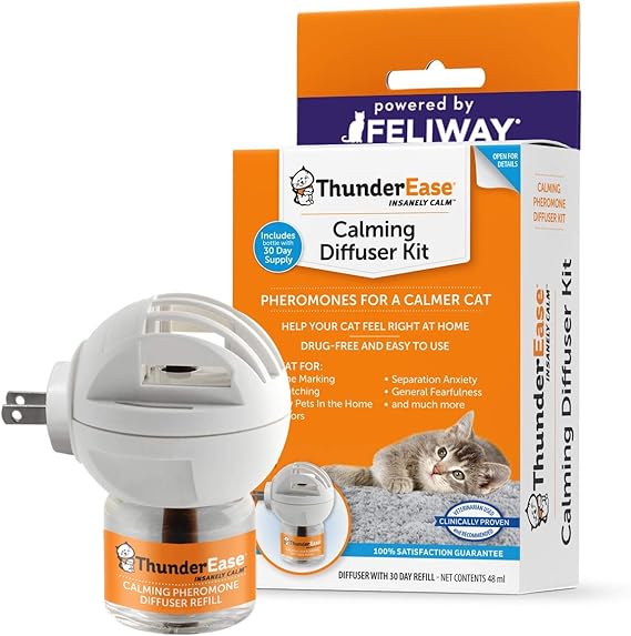 cute dogs for families