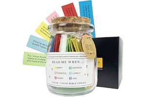 DOMIKOOL Bible Verse Jar,Scripture Prayer Cards Hope Jar,Religious Graduation Gift,Read Me When Bible Verses Jar for Emotions and Feelings，Bible Study Church Christian Gifts for Women Men Mom Dad Friend