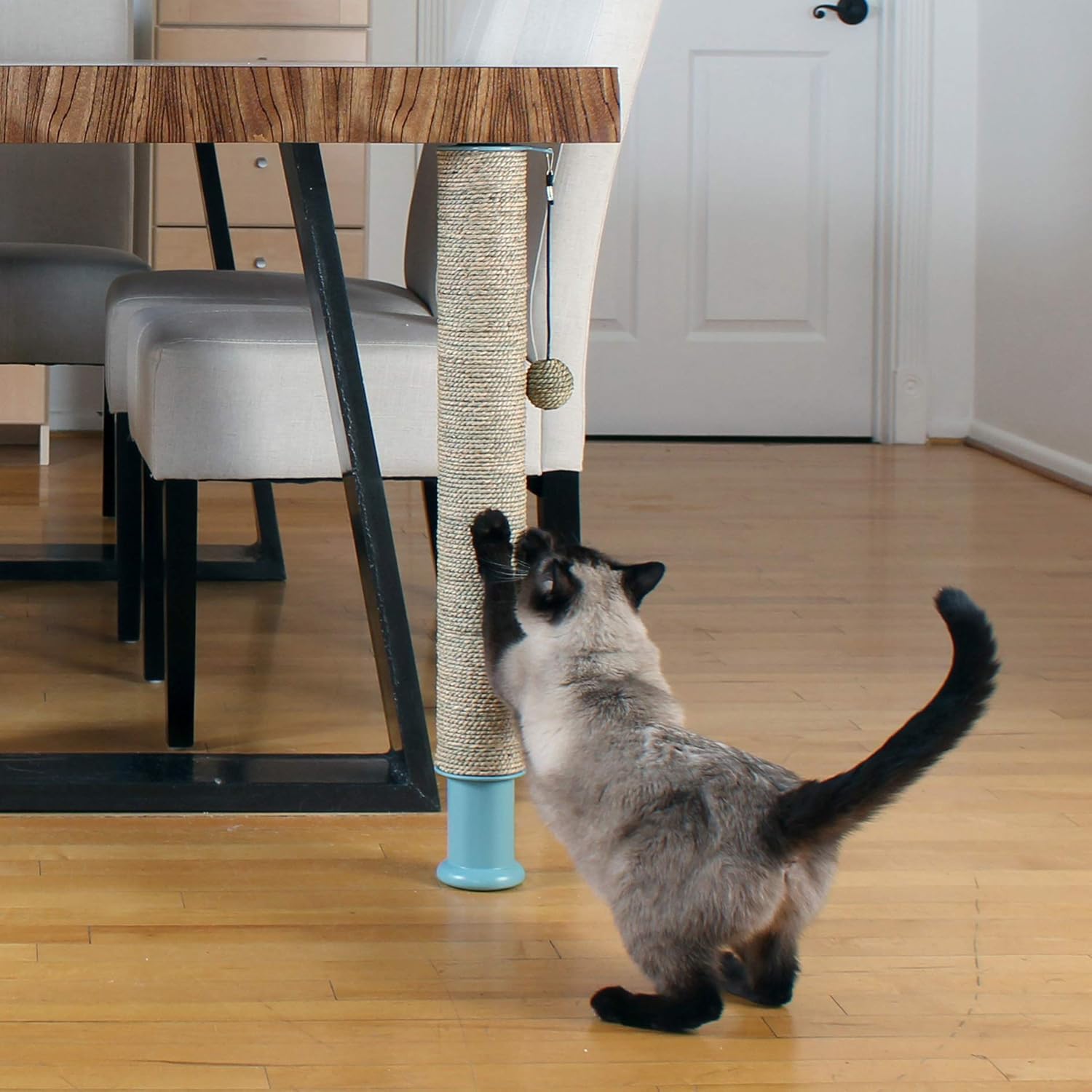 cat scratch pole amazon