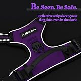 rabbitgoo Small Dog Harness No Pull Reflective with 2 Leash Clips Purple S view 8