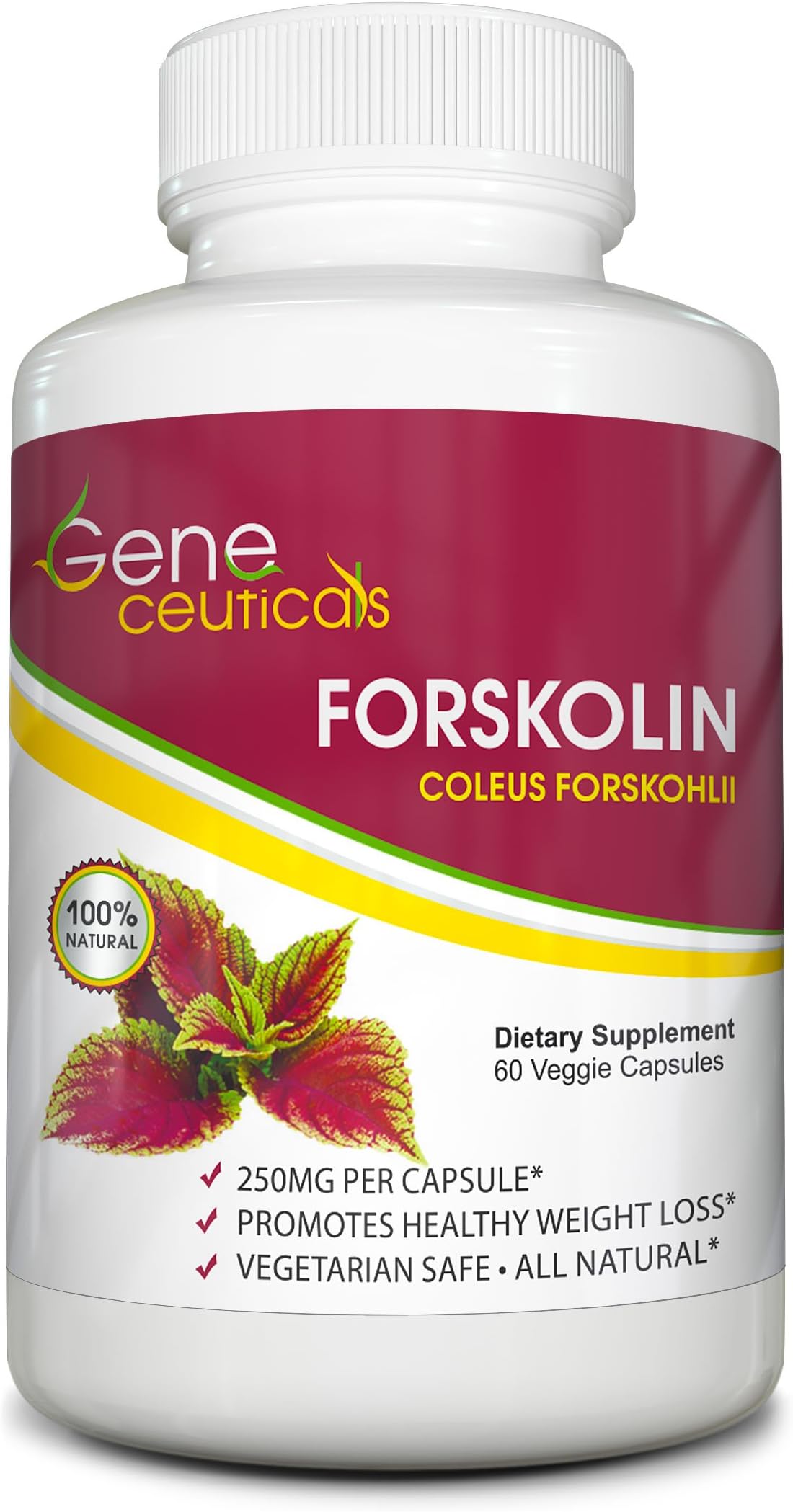Geneceuticals Forskolin Supplement โ Extra Potent Formula! Supports Healthy Weight Loss โ Metabolism Booster โ Improves Energy Levels โ All Natural โ 60 Vegetarian Capsules