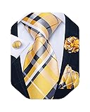 DiBanGu Mens Tie and Lapel Pin Set Silk Plaid Solid