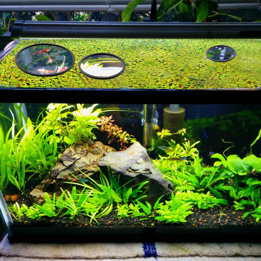 View 5