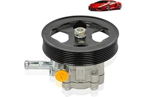 NTLTPYY Power Steering Pump Compatible with Nissan & INFINITI, Armada, TITAN, Pathfinder, QX56, V8 5.6L- 2010-2015, Replacement OE 9901143,49110ZV00A,21494, 13698 - Includes Pulley & Kit