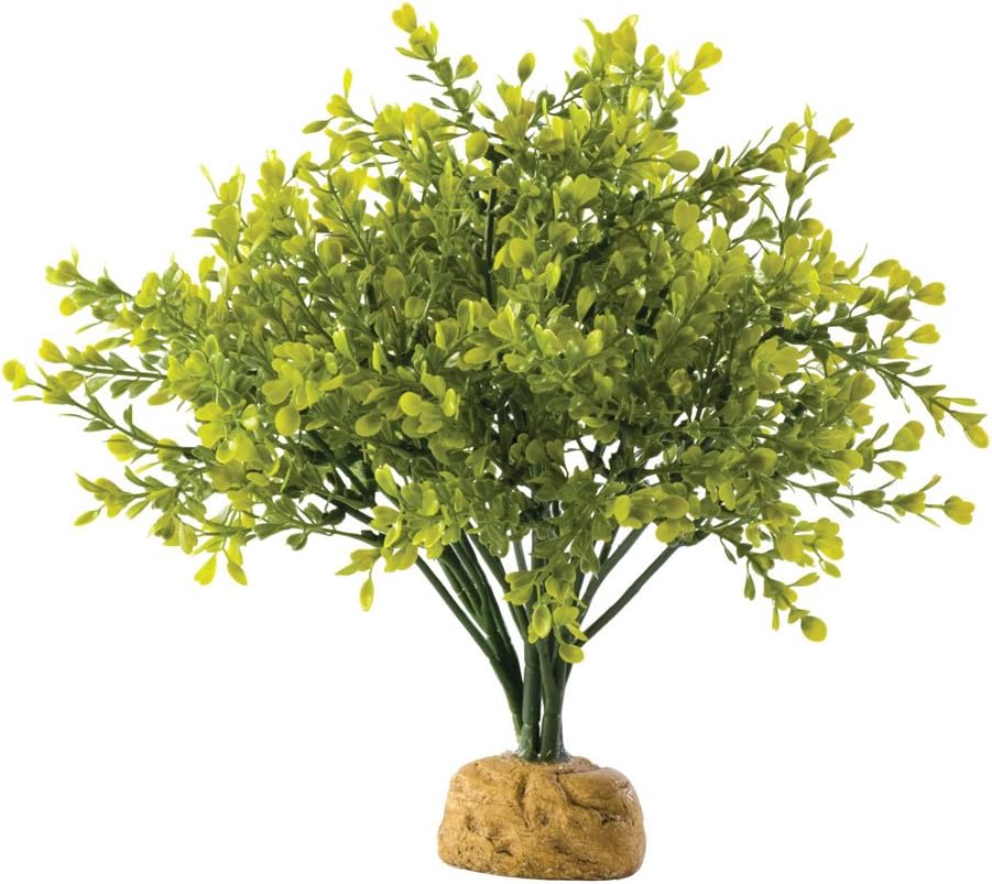 Best desert fairy garden accessories