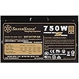 SilverStone Technology 750W Computer Power Supply PSU Fully Modular with 80 Plus Gold & 140mm Design Power Supply (SST-ST75F-GS-V3)