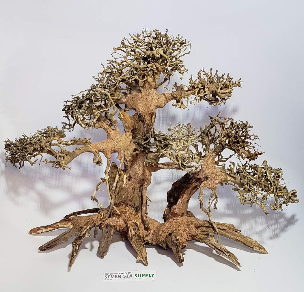 SevenSeaSupply Driftwood Bonsai Fish Tree Aquarium Planted Aquascape Freshwater 17 inches Width - 12 inches High