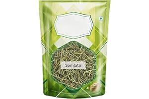 FO Somlata - Soma - Ephedra Vulgaris - Ephedra gerardiana (100 Grams)