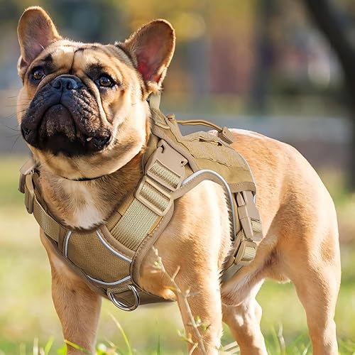 Amazon Service Dog Tactical Vest Tactical Service Dog Vest Small WINGOIN  Tactical Dog Harness For