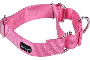 Mikivery Martingale Dog Collar Nylon Adjustable and Safety Training Colourful Comfortable Metal Buckle Pet Collars for Small Medium and Large Dogs(Pink,L)
