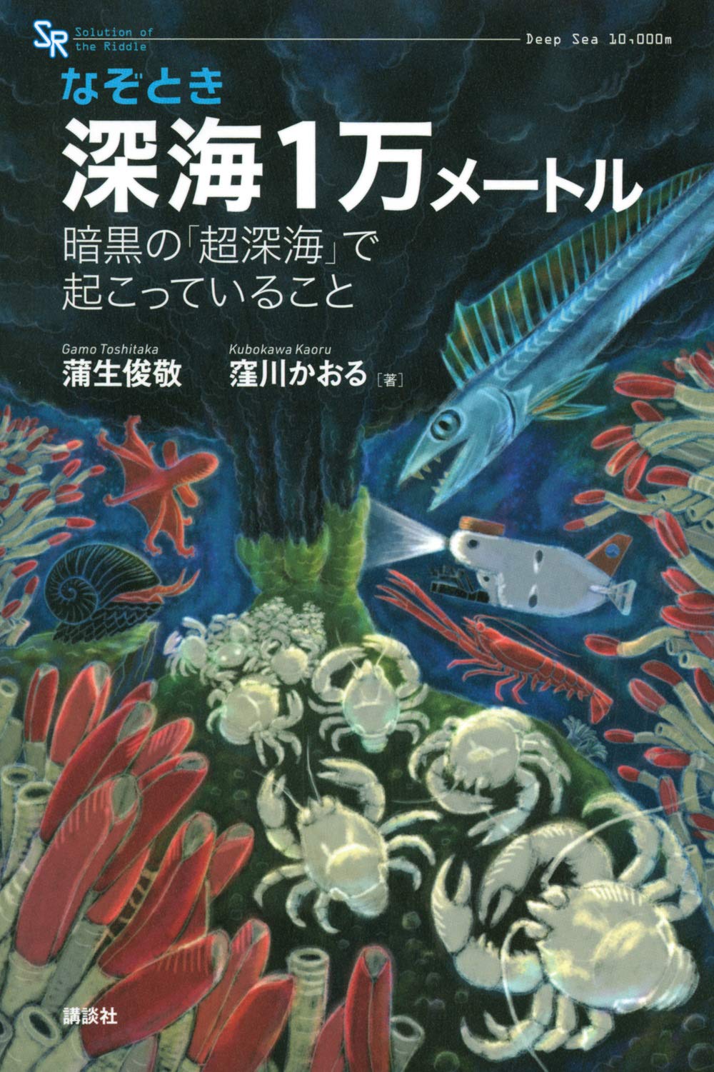なぞとき 深海1万メートル 暗黒の 超深海 で起こっていること Ks科学一般書 蒲生 俊敬 窪川 かおる 本 通販 Amazon