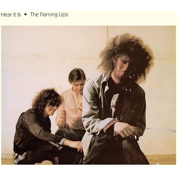 米LP Flaming Lips Telepathic Surgery R1772350 Restless Records /00260 The Flaming Lips - Telepathic Surgery US orig' Restless LP