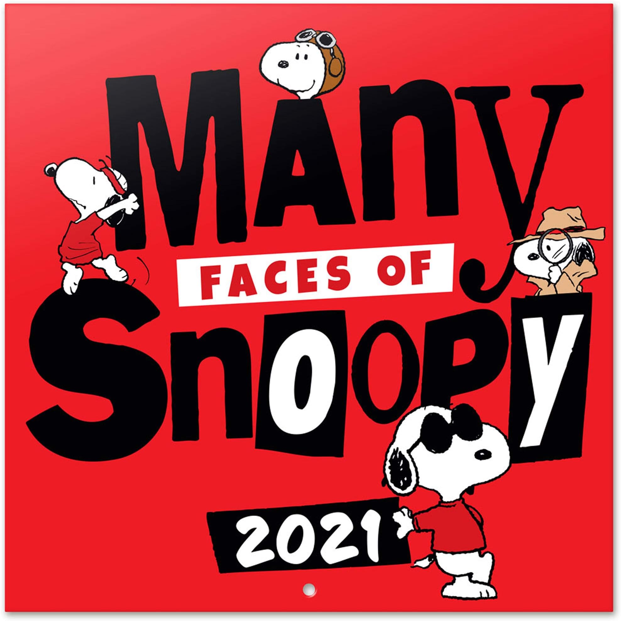 Calendar 2020 Comic Snoopy Wall Calendar 30 x 30 cm