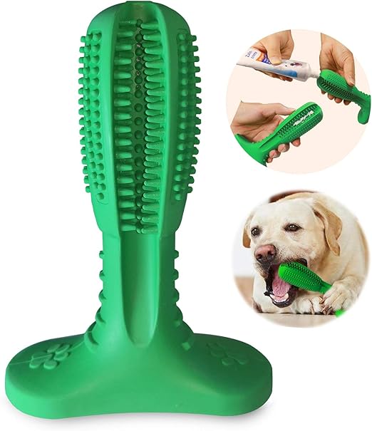 dog toothbrush green