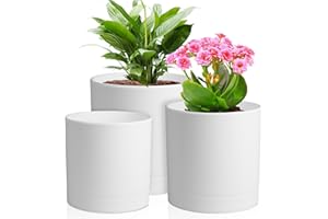Meowell 6/5/4 inch Flower Pots, Pack of 3 Cylinder Plant Pots for Small Indoor Outdoor Plants, Plastic Planters with Drainage Holes and Saucers for Garden Succulent Nursery House Plants, White