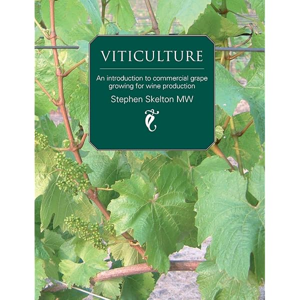 Wine Myths & Reality: Lewin, Benjamin: 9780983729266: Amazon.com