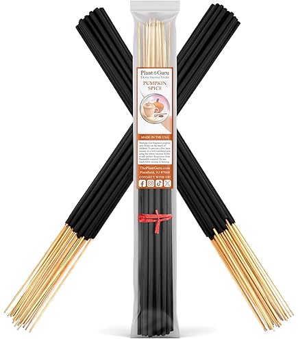 Amazon.com: Cinnamon Exotic Incense Sticks Jumbo 19 Inch Long