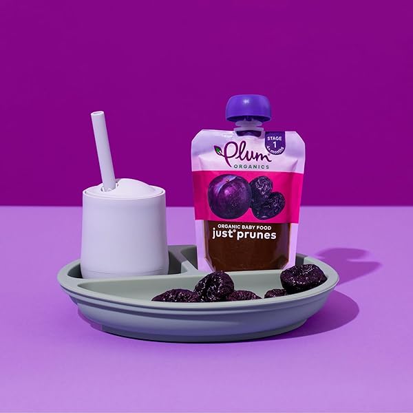 PLUM ORGANICS STAGE 1 ORGANIC BABY FOOD – JUST PRUNES – 3.5 OZ POUCH – ORGANIC BABY FOOD POUCH
