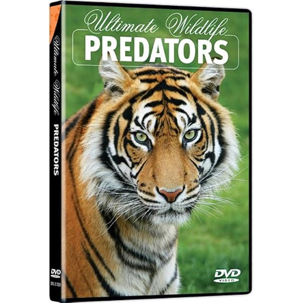 (未使用･未開封品)Predators Life in the Wild [DVD] Time Life Predators Of The Wild VHS Set Of 6 | eBay