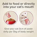 Beaphar Salmon Oil Paste for Cats 100g - Glossy Coat, Vision Support view 4