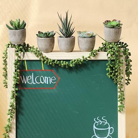 Mkvfa 5pc Piante Grasse Artificiali Artificiali Cactus Con