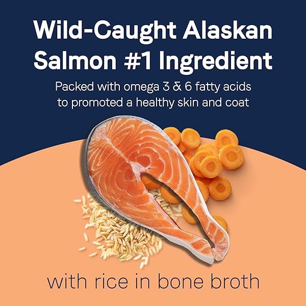 CANIDAE PURE BONE BROTH TOPPER WITH REAL SALMON & RICE WET DOG FOOD, 5.5 OZ. (CASE OF 12)