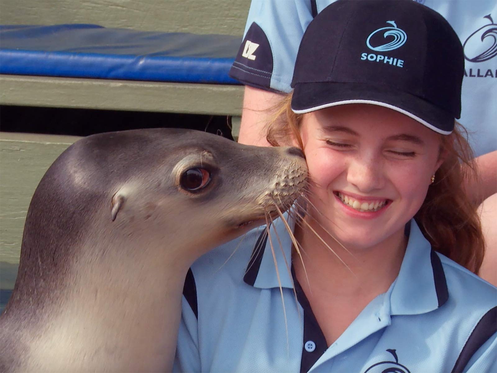 Watch Blue Zoo Prime Video