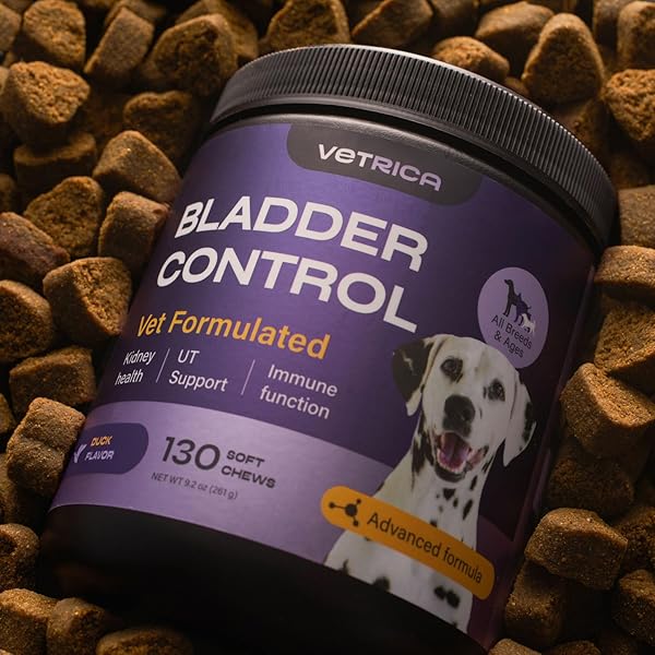 DOG UTI TREATMENT – BLADDER CONTROL CRANBERRY CHEWS – CRANBERRY SUPPLEMENT FOR IMMUNE FUNCTION, URINARY TRACT, BLADDER & KIDNEY HEALTH – D-MANNOSE SOFT TREATS FOR DOG INCONTINENCE – ALL BREEDS & AGES