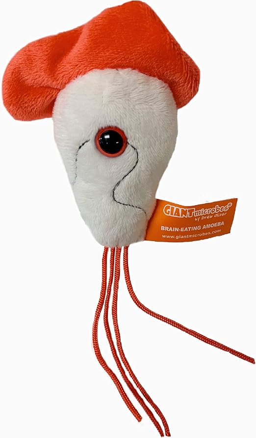 giant microbes amazon