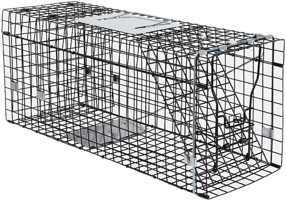 daily supplies Large Rat Trap Cage, Collapsible Single-door Live Mouse Trap Humanized Squirrel Cage Trap, Indoor and Outdoor Live Animal Traps, for Catching Mice, Chipmunk and Rodents