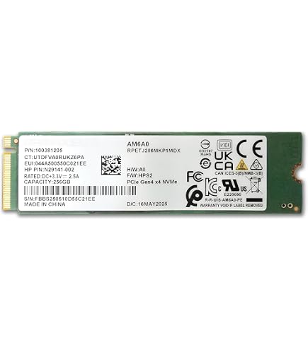 Amazon.com: Computer Memory Solutions CMS 256GB Internal SSD M.2