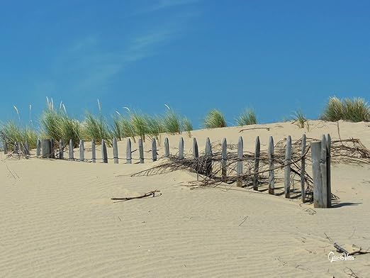 Get Playa de arte de la pared valla HD