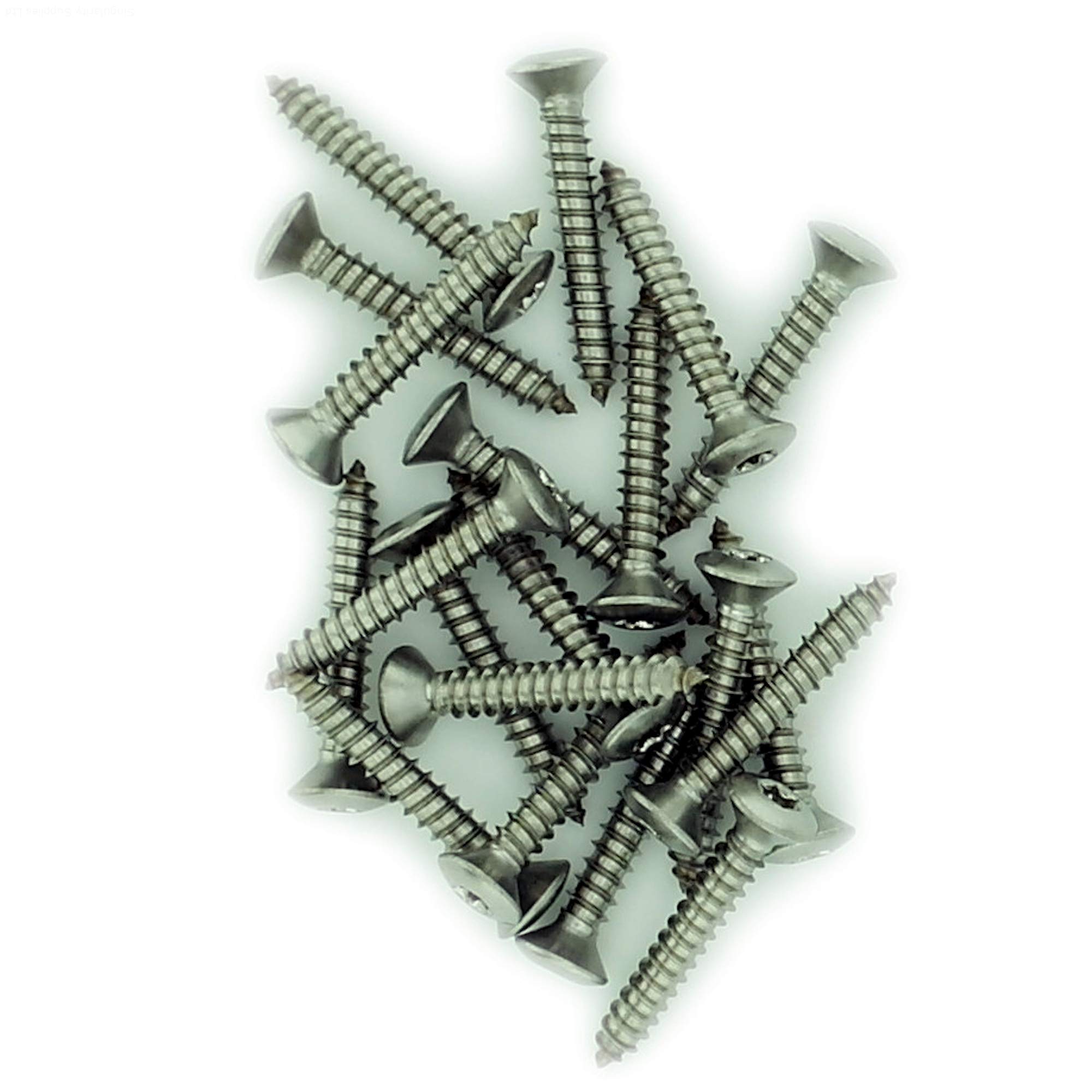 No.10 x 0.625 (4.8mm x 16mm) TX Raised Countersunk Self-Tapping Screw - Stainless Steel (A2) (Pack of 20)