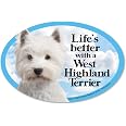 Prismatix 4-Pack Oval Pet Magnets For Car, Fridge, Or Locker - Pug Dog & Cat Designs