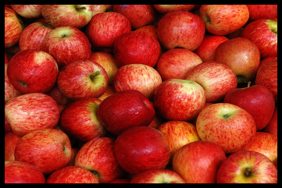 Digital Republic.Com 40184 Door Mat Polyamide PVC Plastic Phthalate-Free